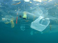 Policy to Ban Single-use Plastics by 2021