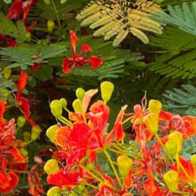 Screenshot 2023 10 10 185238 e1696949747809