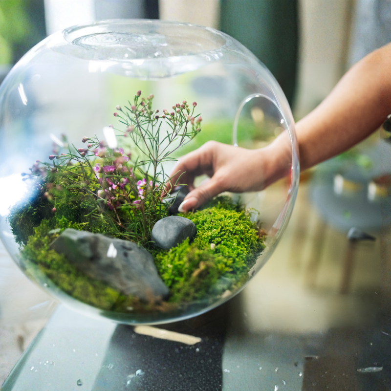 From Sustainability to Regeneration Why Business Must Rethink Its Role 1